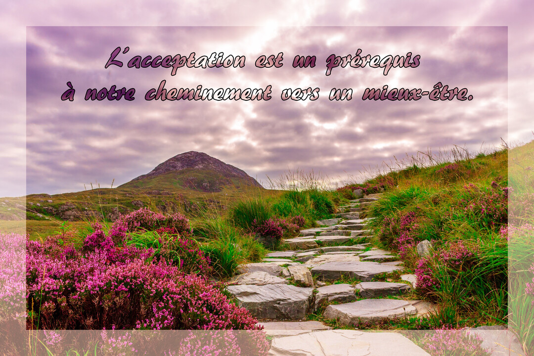 Un sentier de pierres serpente sur une colline verdoyante parsemée de bruyère rose, sous un ciel nuageux et violacé au crépuscule.
