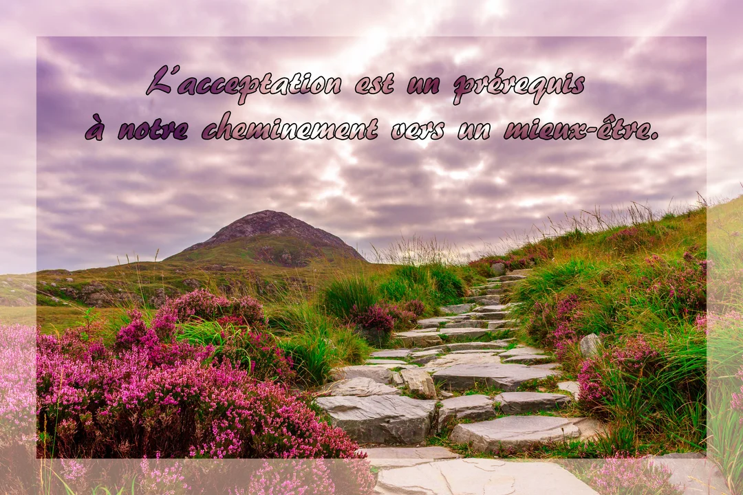 Un sentier de pierres serpente sur une colline verdoyante parsemée de bruyère rose, sous un ciel nuageux et violacé au crépuscule.