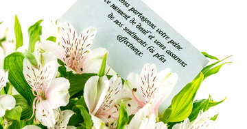 Aperçu de la carte : « Nous partageons votre peine en ce moment de deuil... »