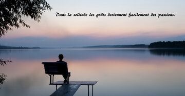 Aperçu de la carte : Dans la solitude les goûts deviennent facilement des passions.