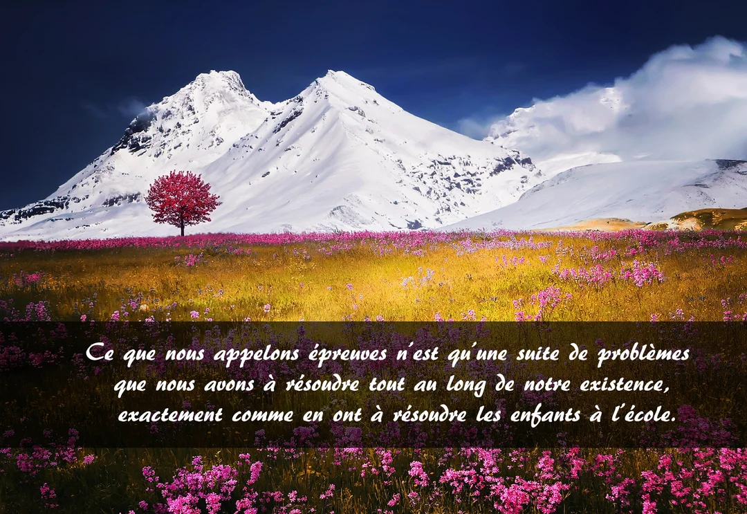 Un paysage onirique montre une montagne couverte de neige dominant une prairie fleurie où se dresse un unique arbre aux feuilles roses.