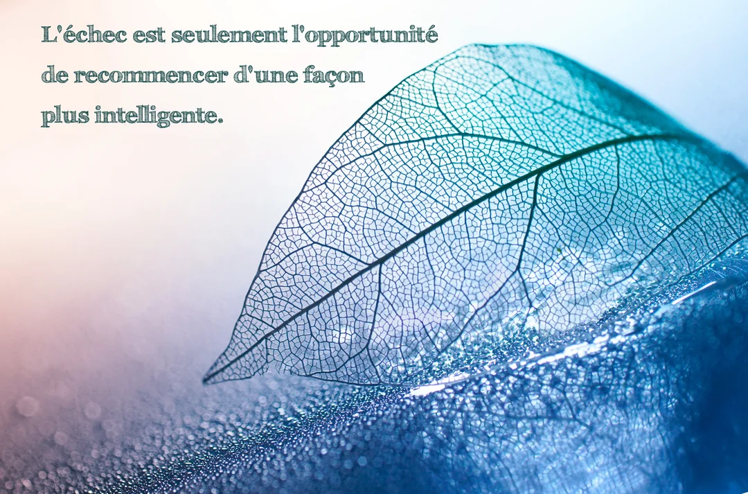 Une feuille squelette translucide aux teintes bleues repose sur une surface givrée, illustrant une citation inspirante sur la résilience face à l'échec.