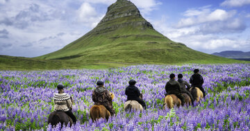 Aperçu de la carte : « Quand tu arrives en haut de la montagne, continue à grimper... »