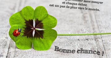 Aperçu de la carte : « On ne peut pas réussir sans essayer et chaque échec est un pas... »