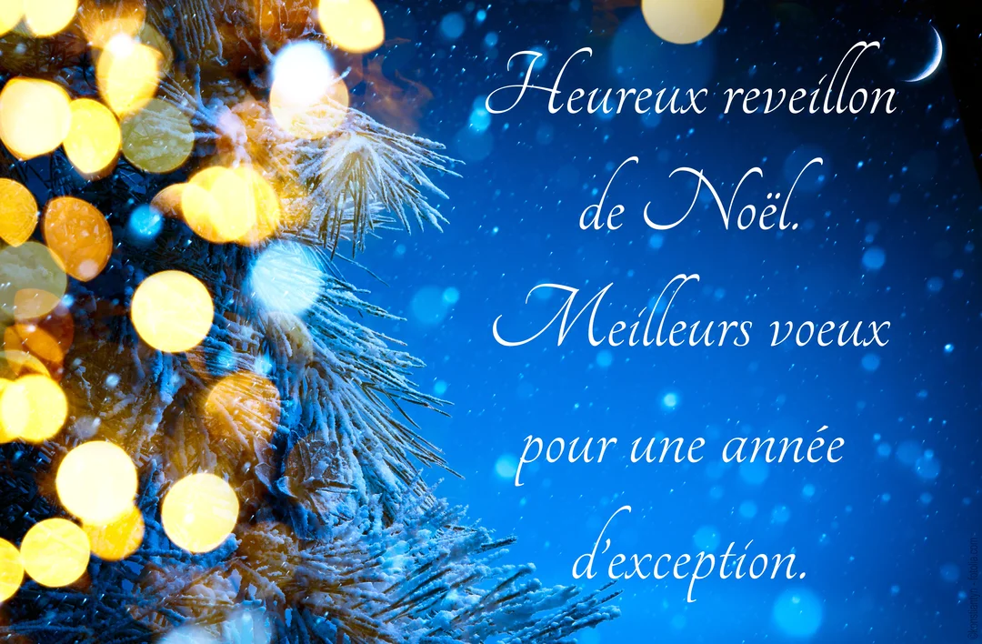 Une branche de sapin couverte de neige est éclairée par des lumières dorées en bokeh sur un fond bleu nuit étoilé avec un croissant de lune.