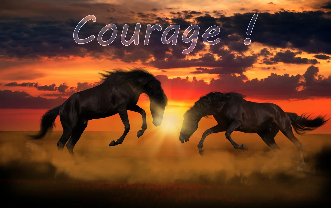 Deux étalons noirs fougueux s'affrontent au crépuscule dans un nuage de poussière, sous un ciel orangé avec l'inscription 'Courage !'.
