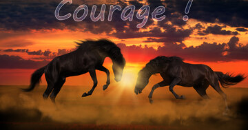 Aperçu de la carte : Courage !