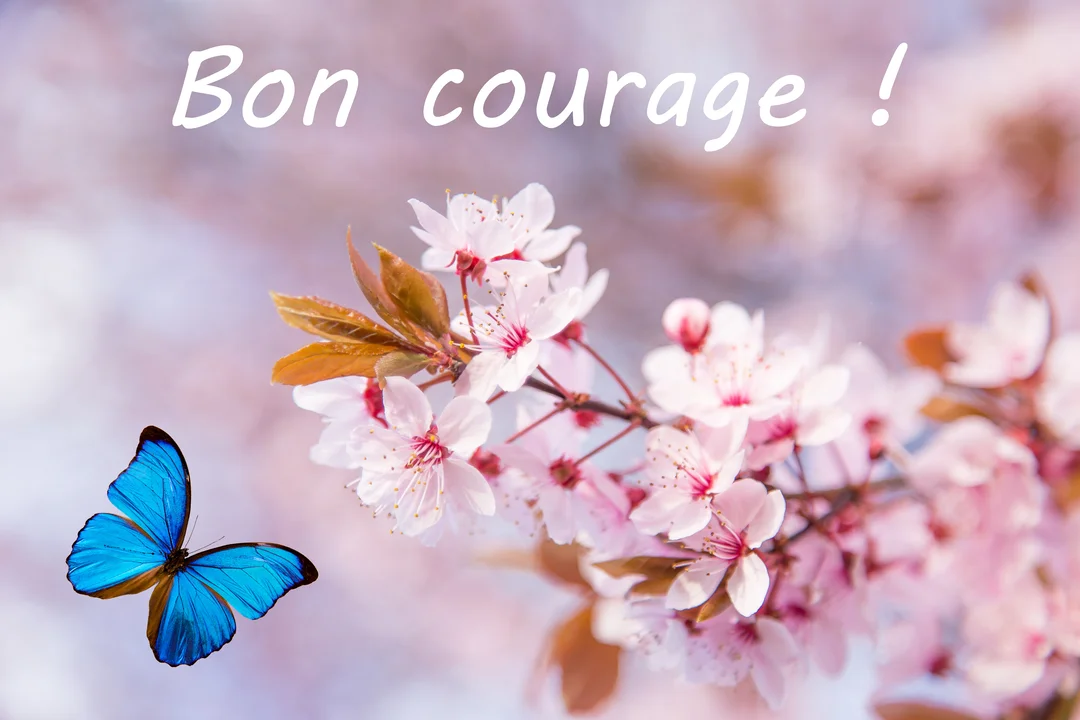 Un papillon bleu aux ailes déployées vole vers une branche fleurie de cerisier rose sur un fond pastel flouté, avec le texte 'Bon courage'.