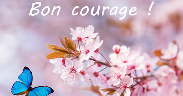 Aperçu de la carte : Bon courage