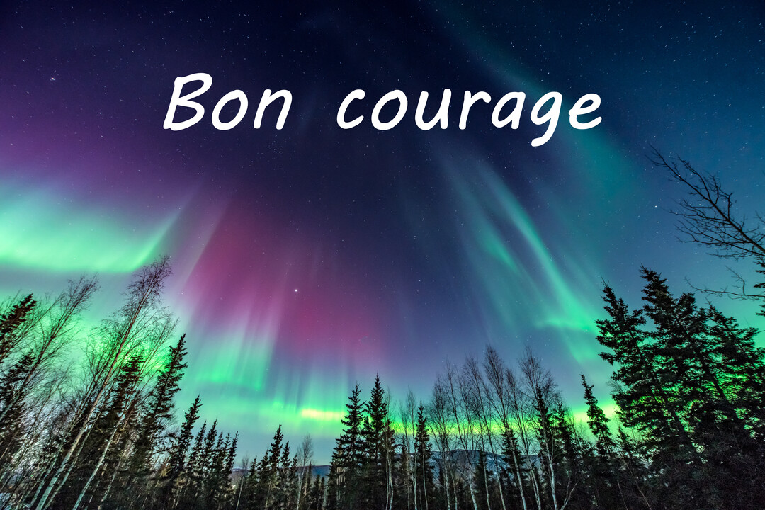 Une magnifique aurore boréale aux teintes vertes et roses illumine un ciel nocturne étoilé, au-dessus de la cime des arbres d'une forêt.