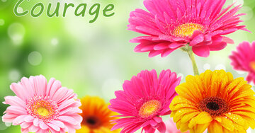 Aperçu de la carte : Courage