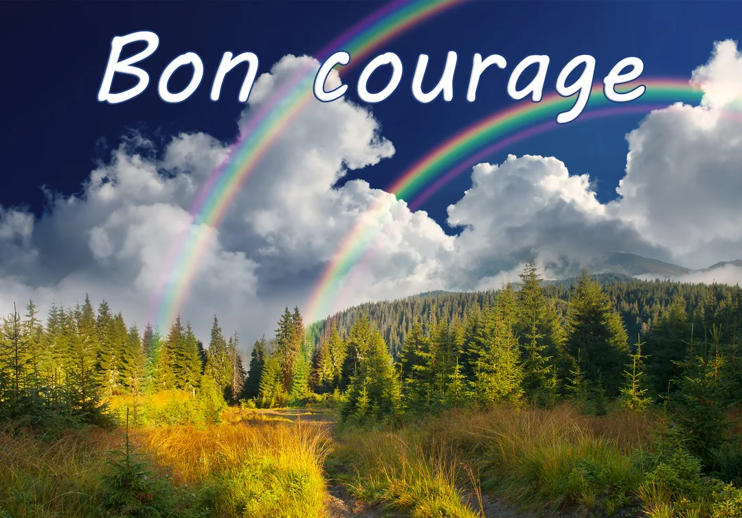 Un paysage de forêt de sapins en montagne est illuminé par un double arc-en-ciel, avec le texte "Bon courage" écrit dans le ciel.