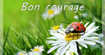 Aperçu de la carte : Bon courage