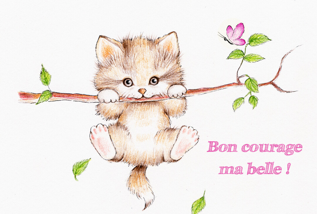 Dessin au crayon d'un chaton brun et duveteux qui s'accroche à une branche d'arbre avec ses pattes avant, regardant droit devant.