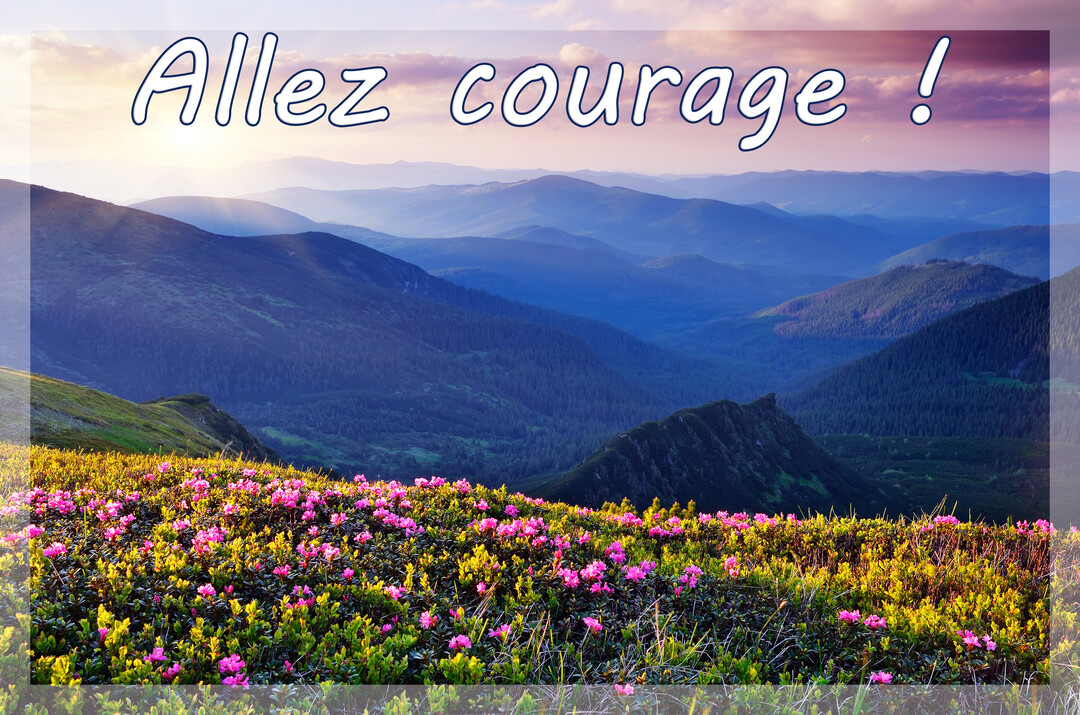 Paysage de montagnes brumeuses au lever du soleil, avec un premier plan de rhododendrons roses et le texte blanc 'Allez courage !'.