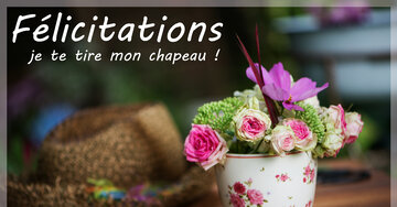 Aperçu de la carte : Félicitations je te tire mon chapeau !