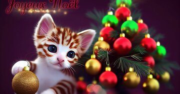 Aperçu de la carte : Joyeux Noël