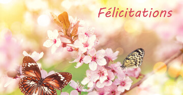 Aperçu de la carte : Félicitations