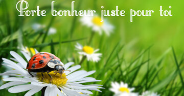 Aperçu de la carte : Porte bonheur juste pour toi