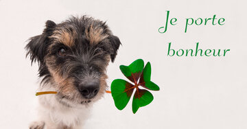 Aperçu de la carte : Je porte bonheur