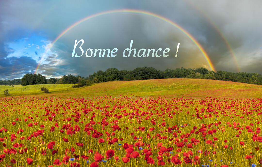 Un vaste champ de coquelicots rouges s'étend sous un ciel nuageux où brille un double arc-en-ciel, avec le texte 'Bonne chance !'.