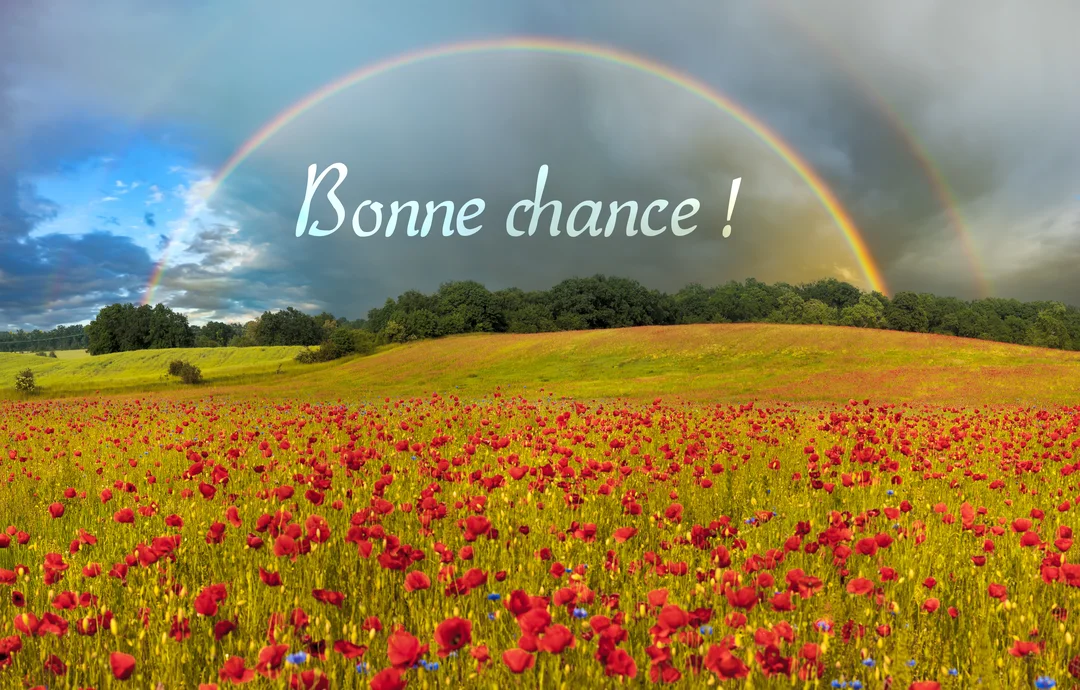 Un vaste champ de coquelicots rouges s'étend sous un ciel nuageux où brille un double arc-en-ciel, avec le texte 'Bonne chance !'.