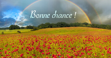 Aperçu de la carte : Bonne chance