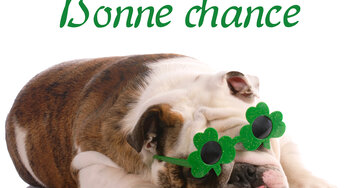 Aperçu de la carte : Bonne chance