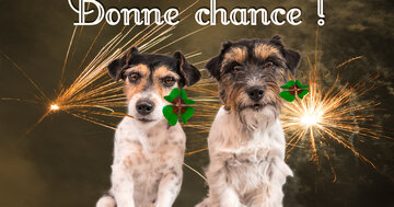 Aperçu de la carte : Bonne chance !