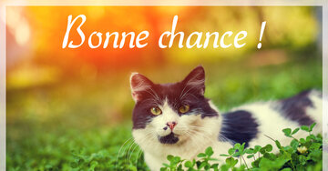 Aperçu de la carte : Bonne chance