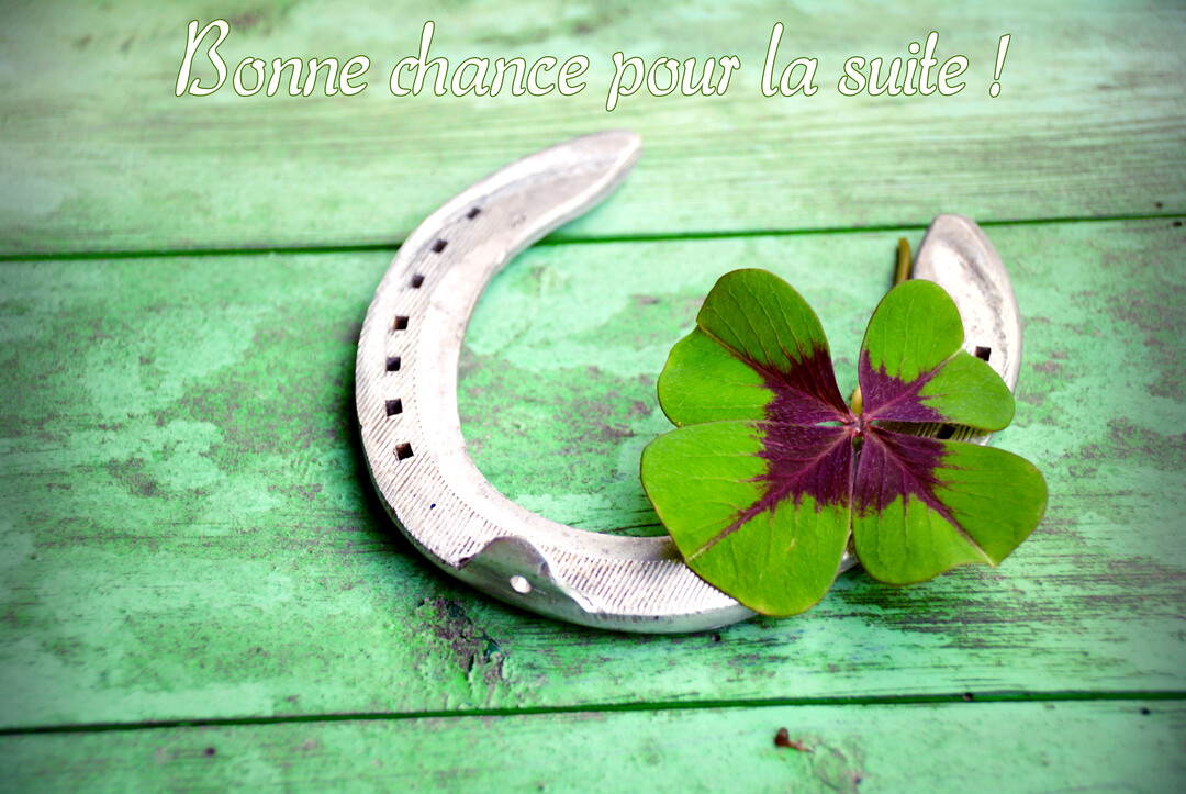 Un fer à cheval en métal et un trèfle à quatre feuilles, au cœur violet, reposent sur des planches de bois peintes en vert.