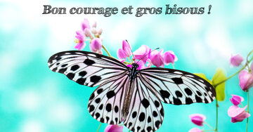 Aperçu de la carte : Bon courage et gros bisous !