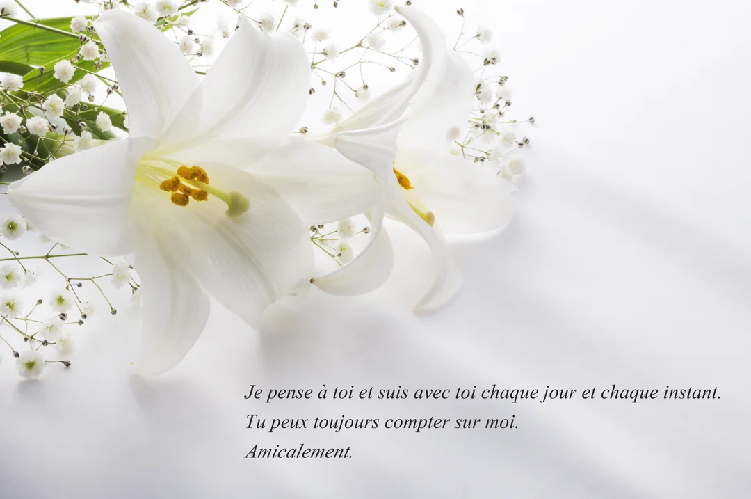 Un bouquet de deux fleurs de lys blancs et de gypsophile est posé sur une surface blanche, accompagné d'un texte de soutien.