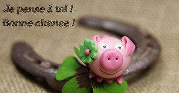 Aperçu de la carte : Je pense à toi !
Bonne chance !