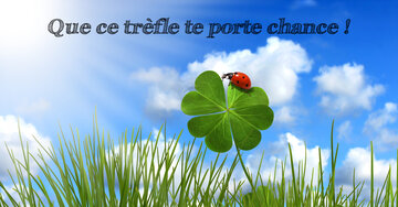Aperçu de la carte : Que ce trèfle te porte chance !