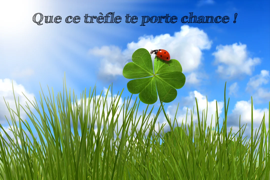 Un trèfle à quatre feuilles vert vif se détache d'un parterre d'herbe, avec une coccinelle rouge sur une de ses feuilles.