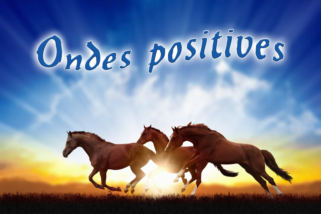 Trois chevaux bruns galopent avec énergie dans une plaine, sur fond de ciel bleu et d'un soleil éclatant à l'horizon.