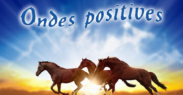 Aperçu de la carte : Ondes positives