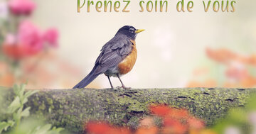 Aperçu de la carte : Prenez soin de vous