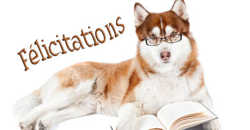 Aperçu de la carte : Félicitations