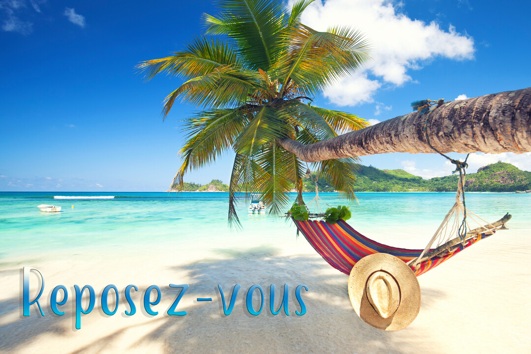 Un hamac coloré est suspendu à un palmier sur une plage de sable blanc, face à une mer turquoise sous un ciel bleu.