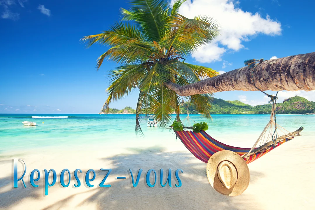 Un hamac coloré est suspendu à un palmier sur une plage de sable blanc, face à une mer turquoise sous un ciel bleu.