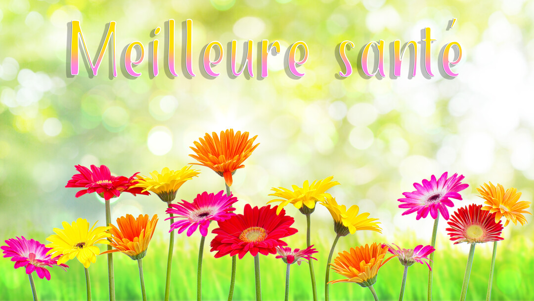 Une rangée de gerberas aux couleurs vives se détache sur un fond vert clair et ensoleillé, avec l'inscription "Meilleure santé" en haut.