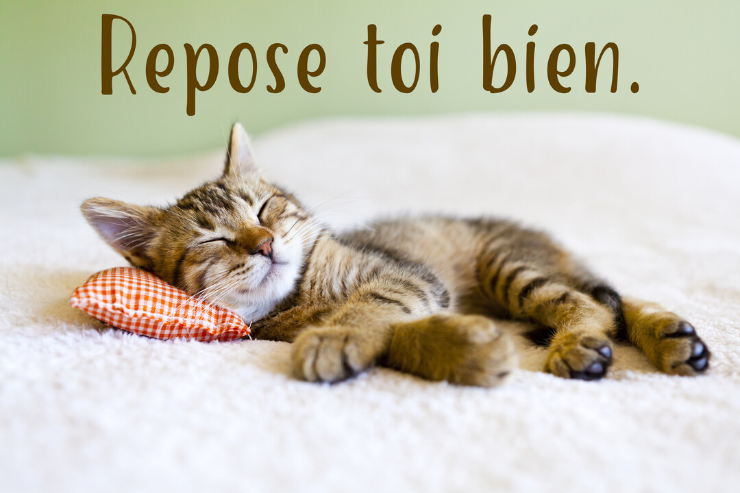 Un jeune chat tigré dort paisiblement sur une couverture moelleuse, la tête reposant sur un petit coussin à carreaux orange et blanc.