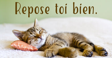 Aperçu de la carte : Repose toi bien.