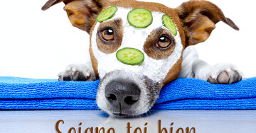 Aperçu de la carte : Soigne-toi bien.