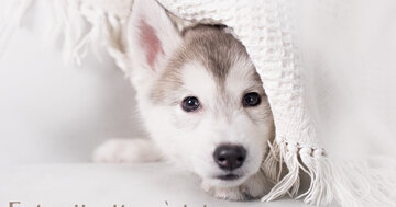 Aperçu de la carte : Fais attention à toi.