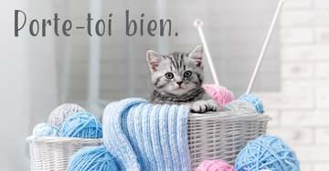 Aperçu de la carte : Porte-toi bien.