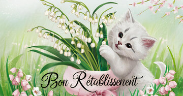 Aperçu de la carte : Douceur et repos
pour un bon rétablissement