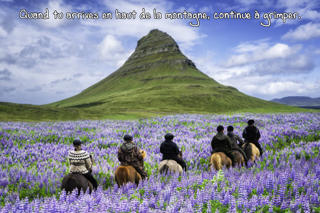 Vue de dos, un groupe de personnes à cheval traverse un immense champ de fleurs violettes en direction d'une montagne verdoyante.